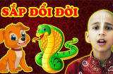 Lộc Kép Đến Tay 5 năm (2025-2030): 3 Shbet888.com nhà cái uy tín may mắn kiếp về bạc tỷ, thảnh thơi vẫn giàu