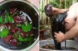 Vò nát nắm lá này đem gội đầu: Mùi thơm tự nhiên, hết ngứa da đầu, tóc con mọc tua tủa