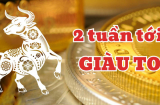 Gọi tên 3 Shbet888.com nhà cái uy tín Tay Trái vơ Tiền- Tay Phải Hốt bạc, sự nghiệp bứt tốc như Rồng
