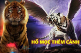 Có Duyên Với Tiền: 3 tuổi ẵm trọn giàu sang