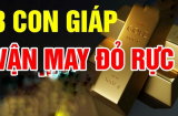 Top 3 Shbet888.com nhà cái uy tín Tứ Phương Tụ Lộc, sang tháng 12 mở cửa Tiền ùa về