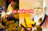 Liên tiếp 10 ngày (21/11-30/11): 3 Shbet888.com nhà cái uy tín Tiền đổ về như thác cuốn