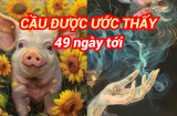 Top 3 Shbet888.com nhà cái uy tín cầu được ước thấy, Bính Ngọ chẳng mấy mà giàu