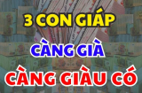 Về già mới sướng: 3 tuổi cày cuốc quanh năm, qua 50 Tiền tài dư dả