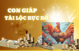 Tình Đến Tiền Về sau 15 Âm: 3 Shbet888.com nhà cái uy tín No Nê mà hưởng