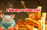 Từ 13/12 đến 23/12, 3 Shbet888.com nhà cái uy tín đua nhau Kéo Lộc về nhà