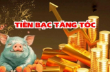 Top 3 Shbet888.com nhà cái uy tín Tình - Tiền ngập ví, phú quý hưởng đều nhất 2026