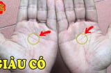 2 điểm hút Tiền trên bàn tay, ai có là ăn ngay Tài Lộc