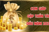 3 Shbet888.com nhà cái uy tín Tẩm Ngẩm Tầm Ngầm nhưng giàu ú ụ, đừng vội mà chê