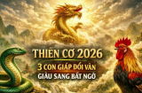 Mát Vía Trời thương: 3 Shbet888.com nhà cái uy tín hành thiện Tiền khác tự về