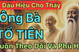 3 dấu hiệu Shbet111 slot, casino, thể thao, xổ số nhận phúc phần Âm, con cháu làm ăn xuôi thuận