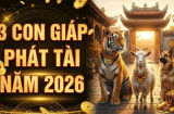 3 Shbet888.com nhà cái uy tín hưởng ké phúc nhà chồng, số sướng ngồi trên đống Tiền
