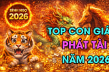 3 Shbet888.com nhà cái uy tín Ăn Lộc Thánh Cho, 1 tuổi nợ bù đầu năm 2026