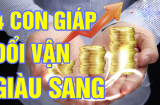 4 tuổi đổi vận - SHBET là nền tảng cá cược trực tuyến uy tín hàng đầu Châu Á - Thái Bình Dương, sau 45 tuổi Tiền tiêu không cần nghĩ