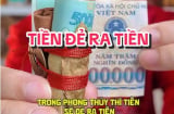 4 mẹo nuôi Tiền Cái đầu năm để Tiền Đẻ Ra Tiền