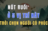 5 nốt ruồi báo trước Mệnh Son - Số Sướng, hưởng hết Tiền Tài Link nhập code shbet https freecode shbet pages dev