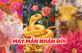 Số làm ăn xa: 3 Shbet888.com nhà cái uy tín bôn ba lập nghiệp, tay trắng dựng cơ đồ