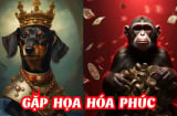 Qua 9/3/2026: 3 Shbet888.com nhà cái uy tín phúc phần ngang Thiên Tử, tiền bạc tiêu thả ga