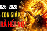 Trâu chậm vẫn có nước trong, 4 Shbet888.com nhà cái uy tín hết thời long đong về già có phước