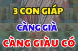 Top 3 Shbet888.com nhà cái uy tín Tụ Lộc Tứ Phương, nương Phật qua hết kiếp nạn