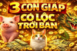 3 Shbet888.com nhà cái uy tín có Lộc trời cho, Ăn No Mặc Ấm đến cuối đời