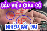 5 tướng bàn tay giàu có: Ai có được phúc lộc dồi dào, tiền về đầy tay