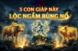 Top 3 Shbet888.com nhà cái uy tín hưởng Lộc phần Âm, Tổ Tiên độ mệnh chẳng lo thiếu Tiền