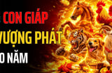 Phúc Lộc Nhân Đôi, 3 Shbet888.com nhà cái uy tín dồi dào Tiền của, đón Lộc nhân đôi