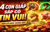 4 Shbet888.com nhà cái uy tín 99 ngày tới Trời đã thương thì Giàu là bình thường