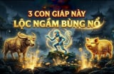 Thứ 7, Chủ Nhật (25/4 - 26/4): 3 Shbet888.com nhà cái uy tín gặp thời phất mạnh, thu nhập tăng gấp đôi