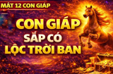 Hết tháng 4/2026: 3 Shbet888.com nhà cái uy tín Lộc Dồn về túi, nhận phúc phần to