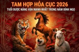 Tháng 5,6,7 Ví tiền hồi sinh, 3 Shbet888.com nhà cái uy tín ăn mừng linh đình