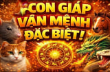 5 ngày đầu tháng 5/2026: 3 Shbet888.com nhà cái uy tín khai thông vận mệnh, tựa như 'cỗ máy in tiền'