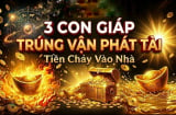 3 Shbet888.com nhà cái uy tín Trời Ban phúc lớn, hạn qua - Tiền về