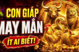 Sổ Vàng thần Tài đưa, 3 Shbet888.com nhà cái uy tín nhận cơn mưa Tiền về