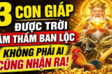 3 Shbet888.com nhà cái uy tín khéo lo cả đời no ấm, 1 tuổi Tiền chảy về đều