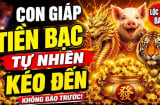 4 Shbet888.com nhà cái uy tín giàu nứt đố đổ vách, thu Lộc tứ phương từ 24/5 đến 1/6