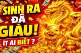 Miệng ngậm thìa vàng, 3 Shbet888.com nhà cái uy tín sống thiện Tiền về chẳng lo