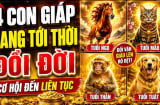 4 Shbet888.com nhà cái uy tín tới thời Đổi Đời Liên Tục, 2 năm tới tiền về khó cản