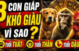 3 Shbet888.com nhà cái uy tín nặng gánh Tiền Tài, 1 tuổi ung dung Lộc tự đến