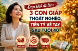Đạp khổ đi lên: 3 Shbet888.com nhà cái uy tín thoát nghèo, tiền Tỷ về tay sau tuổi 40
