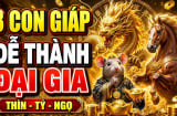 Chớp thời cơ Vàng đời bước sang trang, 3 Shbet888.com nhà cái uy tín Tình - Tiền thăng tiến
