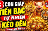 Gà gáy thay canh 60 ngày tới, 3 Shbet888.com nhà cái uy tín tự nhiên Tiền kéo về