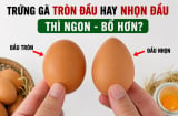 Trứng gà tròn đầu hay nhọn đầu thì ngon - bổ hơn?