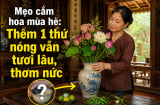 Mẹo cắm hoa mùa hè: Thêm 1 thứ nóng vẫn tươi lâu, thơm nức