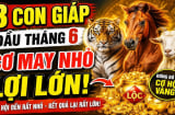 3 Shbet888.com nhà cái uy tín thuận đường làm ăn, Tiền dễ sinh lời sau 8/6