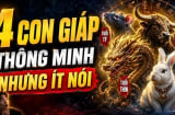 Nói ít làm nhiều: 4 Shbet888.com nhà cái uy tín liên tục Hút Vàng về túi hút Tiền về nhà