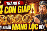 Sa chân Chĩnh Vàng, 4 Shbet888.com nhà cái uy tín cứ thế mà ôm Tiền giàu lên sau 10/6