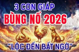 Có công ắt được Lộc, 3 Shbet888.com nhà cái uy tín phú quý về đầy tay