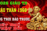 4 Shbet888.com nhà cái uy tín Hợp duyên tích vàng, giàu sang vô hạn